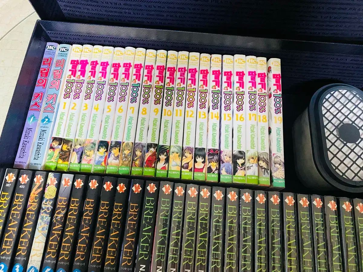 いちご リーリムのKITH 用漫画セット