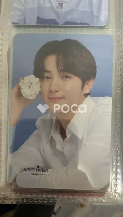 THEBOYZ ドボイズ lapoticel ラポティセル トレカ THE BOYZ - THEBOYZ