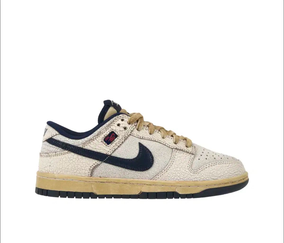 NIKE ジョジョの奇妙な物語 ダンク ハン 290