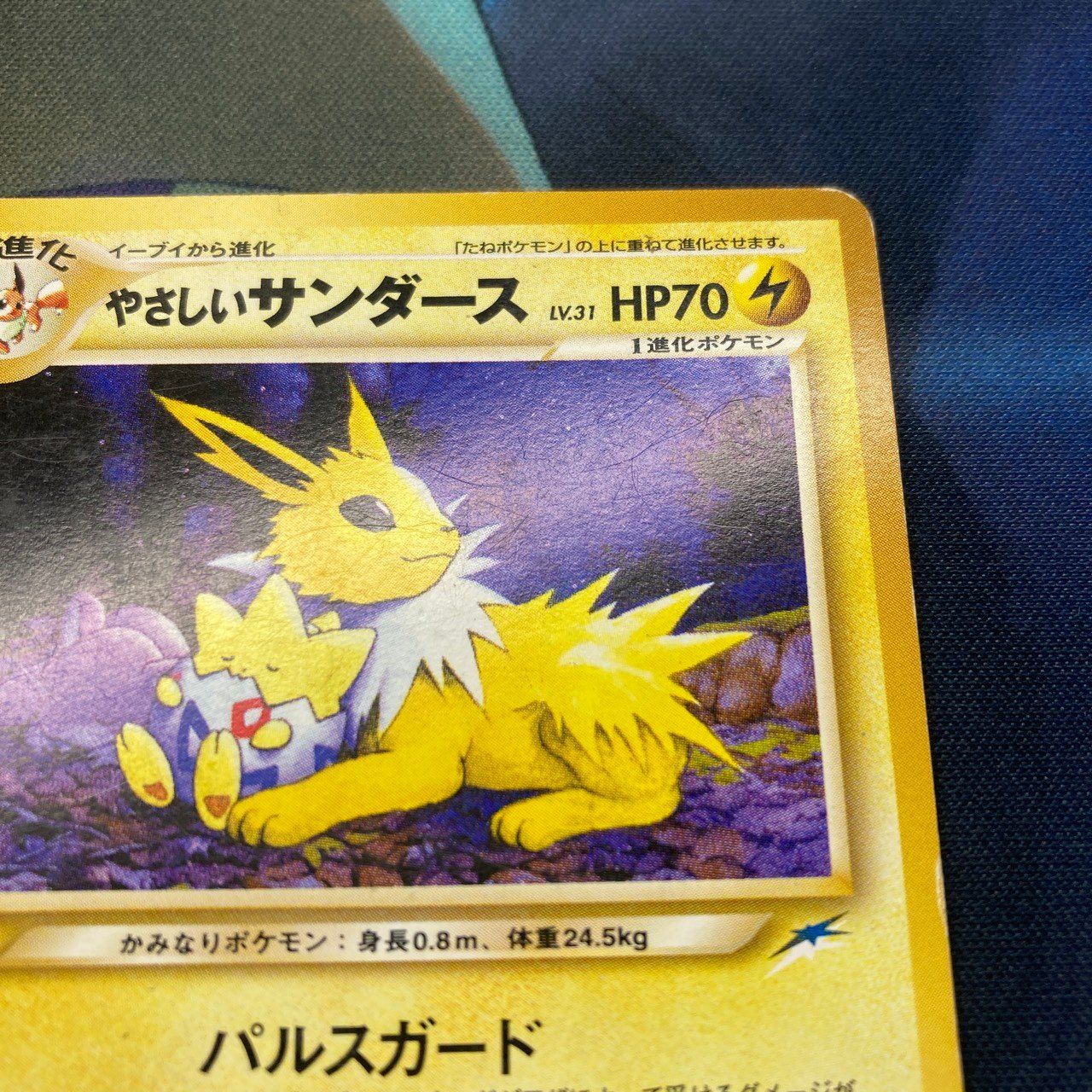 ポケモンカード Bランク やさしいサンダース LV31HP70NO135 闇、そして