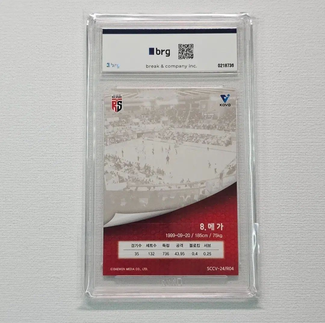 KOVO MEGA 2025 カーボン オート BRG 10