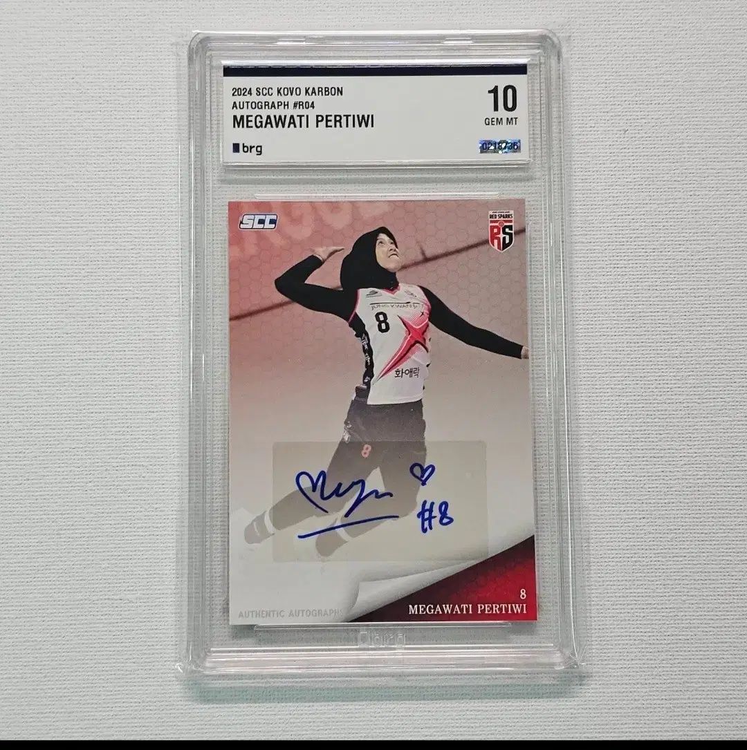 KOVO MEGA 2025 カーボン オート BRG10