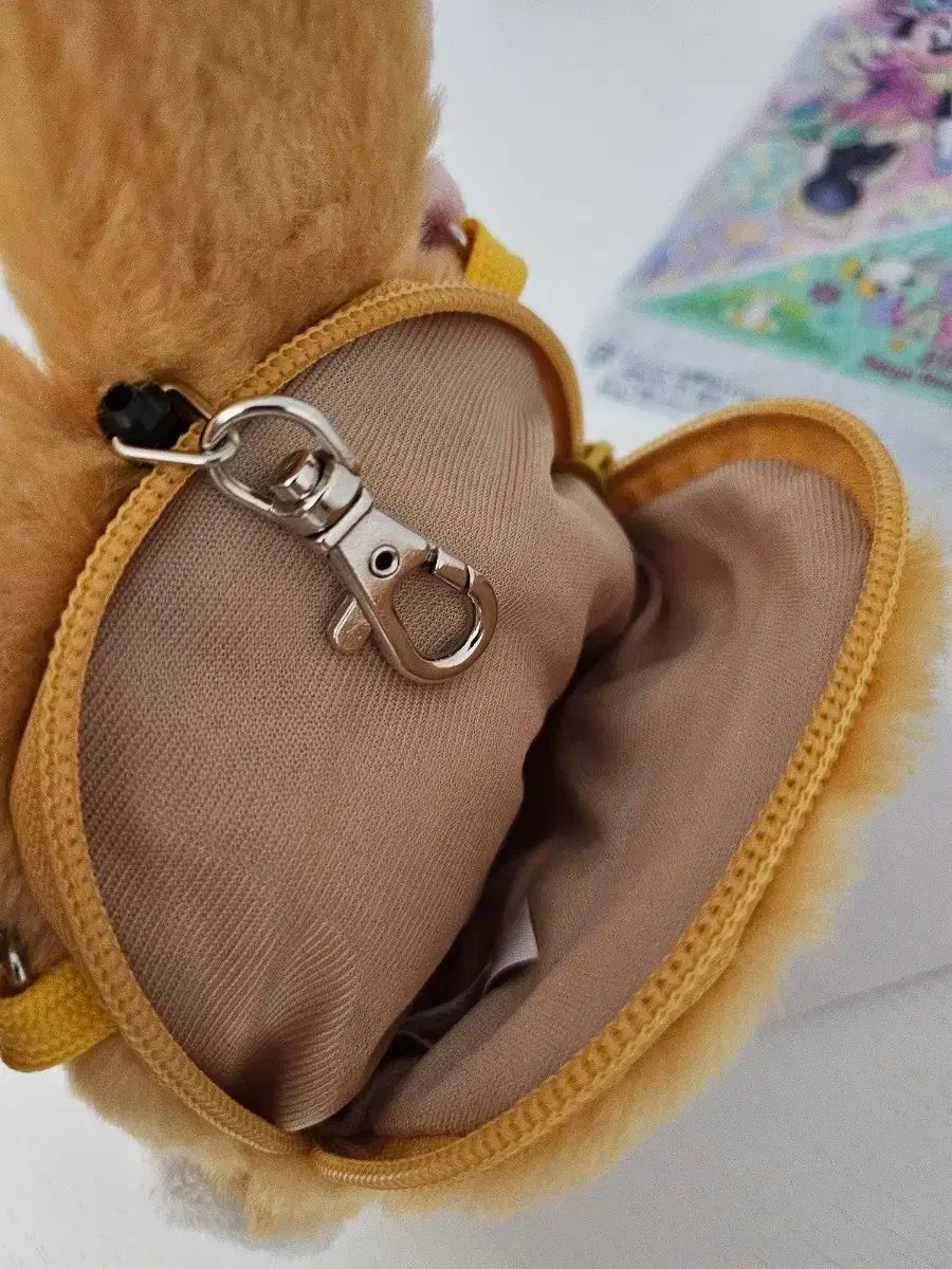 ディズニーランド