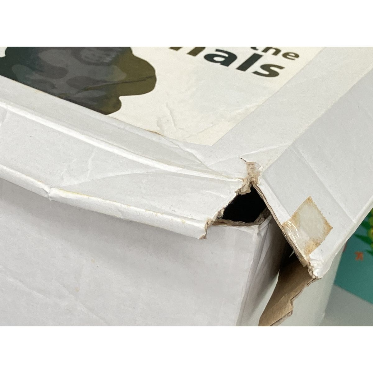 Benesse ベネッセ World wide Kids ワールドワイドキッズ Stage1-6