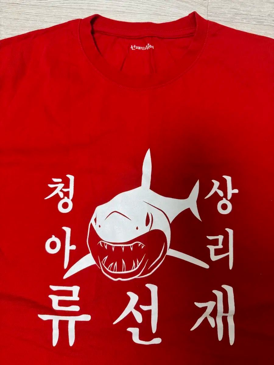 【数量限定，送料無料】 デニムのアリ リー・ユンジェ Tシャツ (ソンオンヘッティ グッズ) その他
