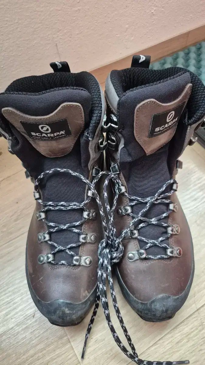 SCARPA スカルパ レディース 登山靴 240