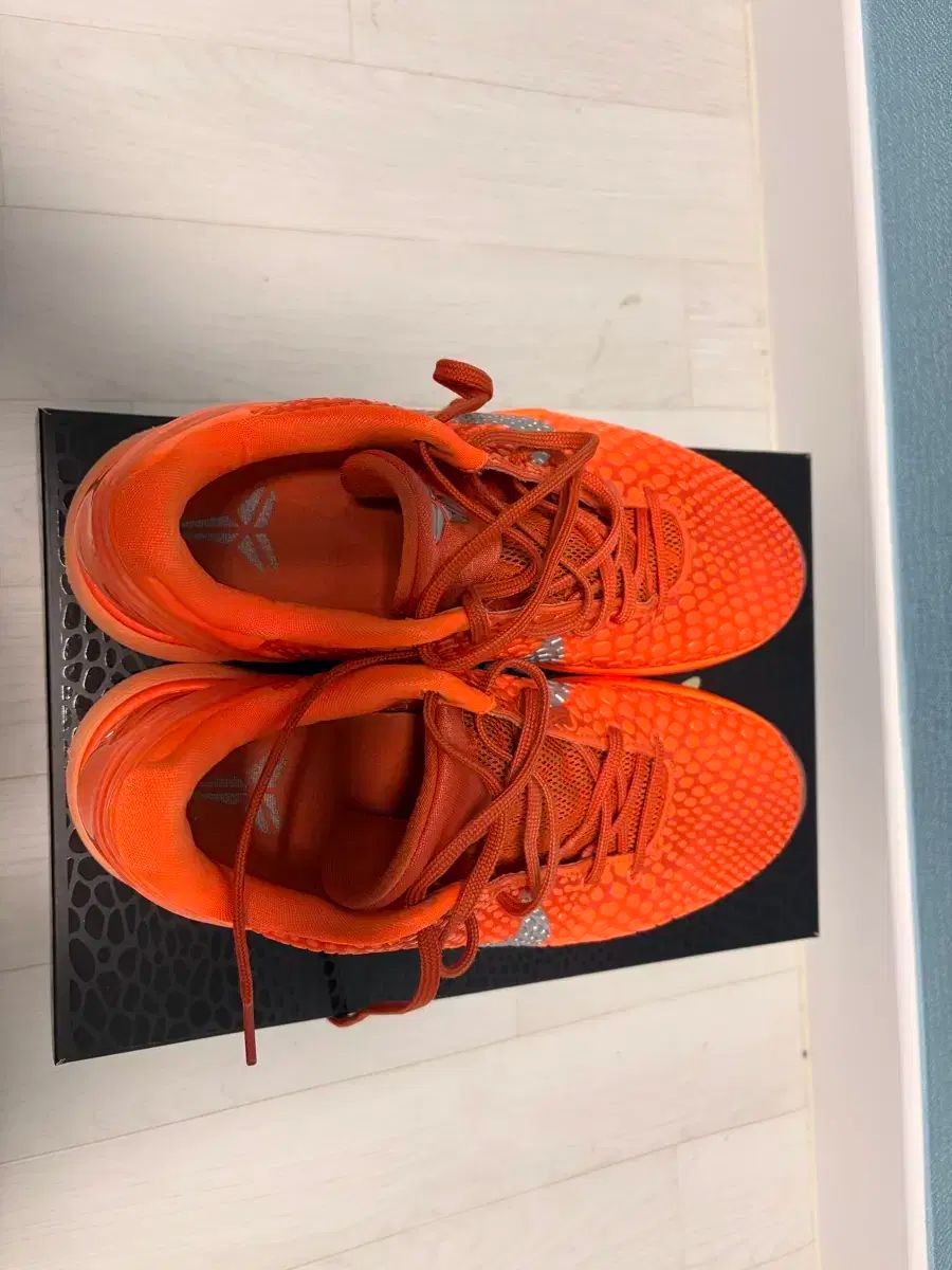  コービー6 プロトロ トゥー トータル オレンジ 270 シューズ(男性用) バスケットボール