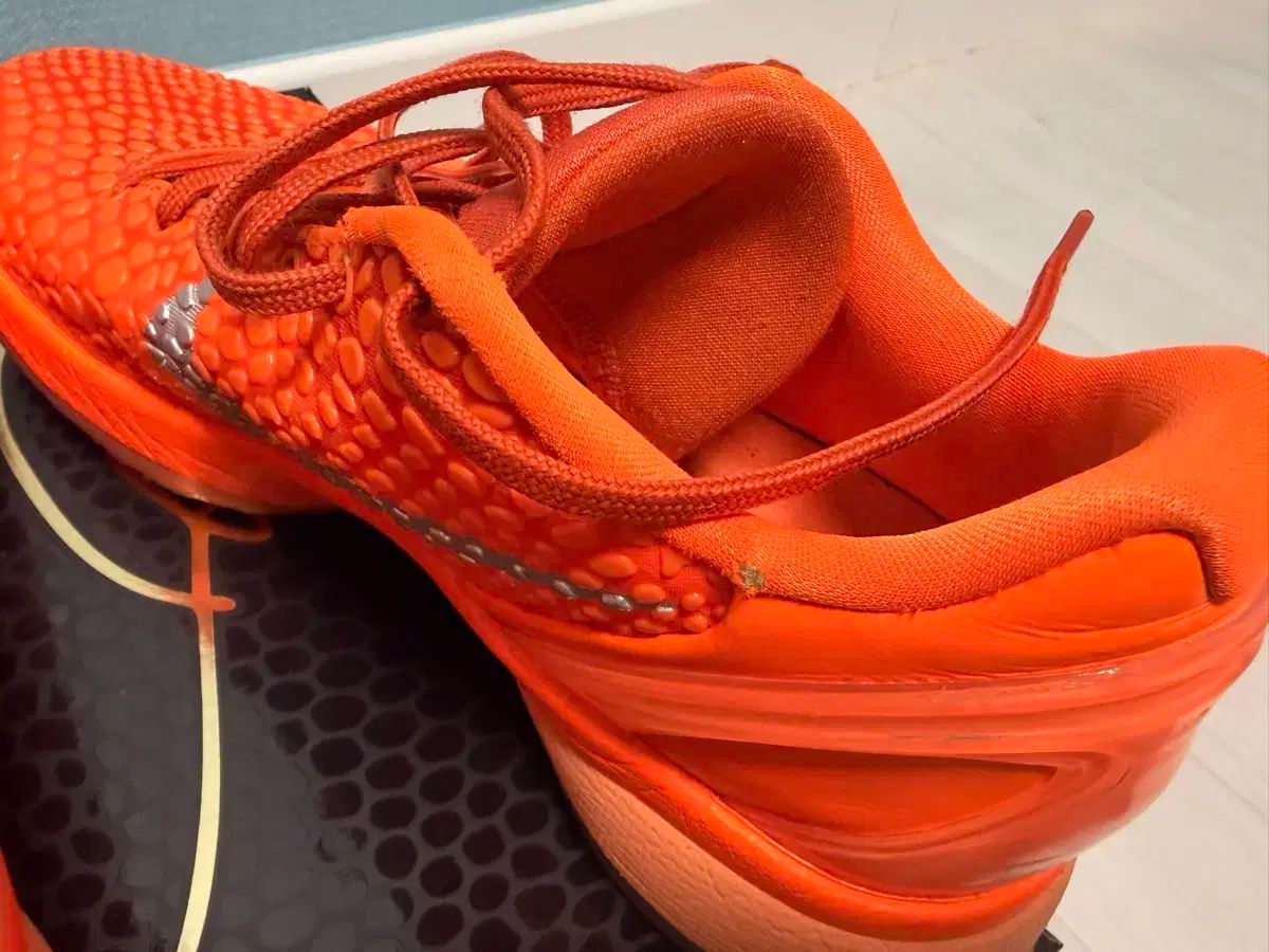 コービー6 プロトロ