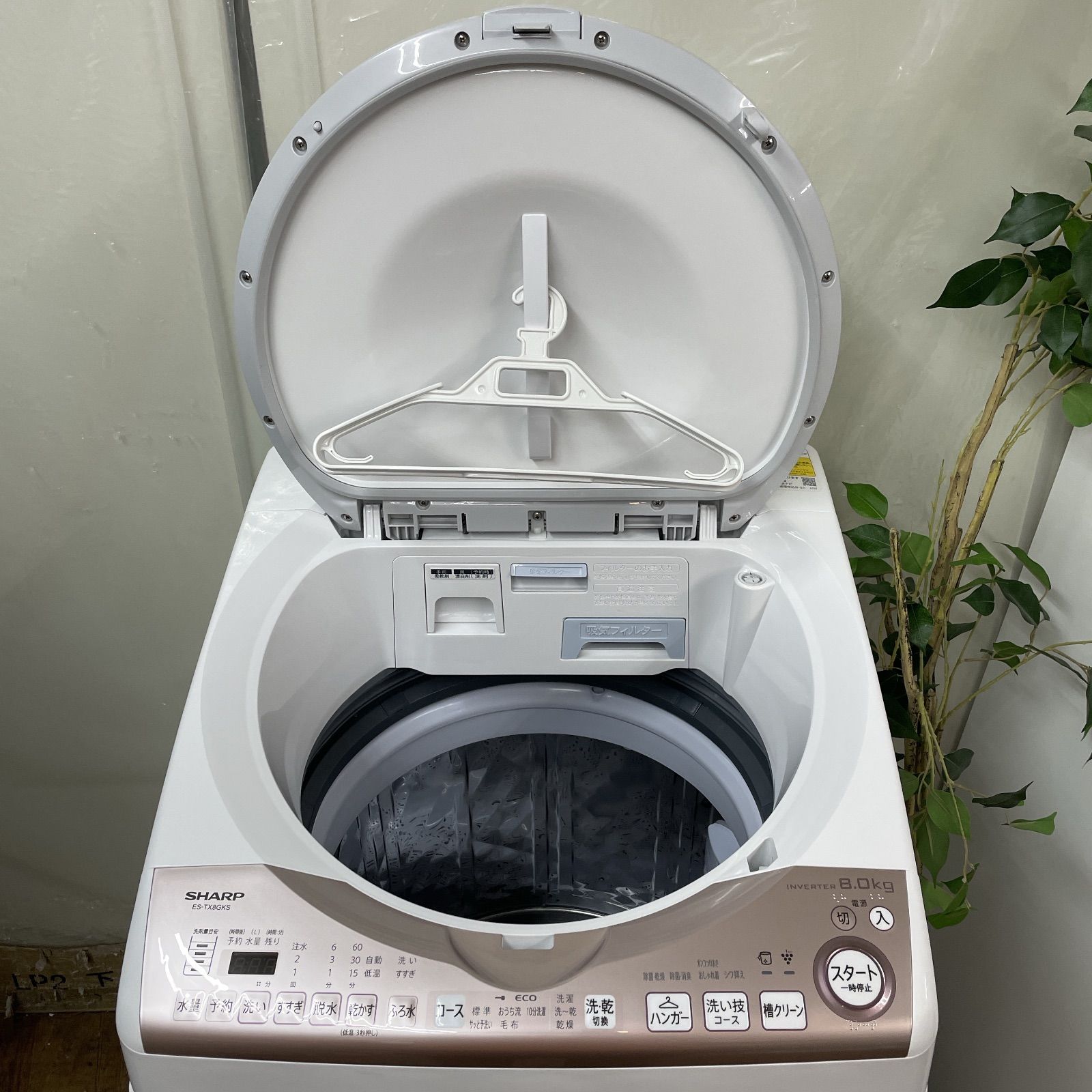 R673 ☀️ 名古屋市近郊配送設置無料！ 2022年製の高年式！ SHARP 洗濯