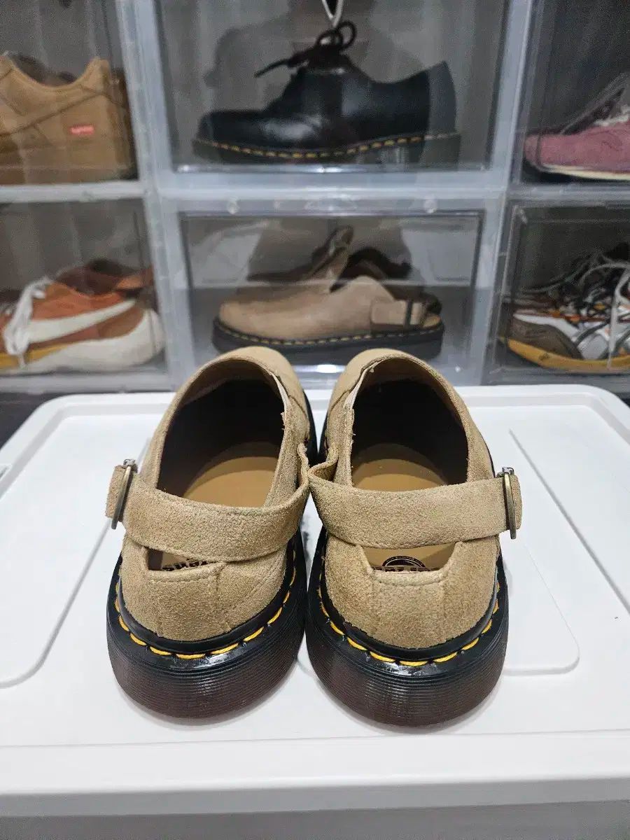 デザート オアジス