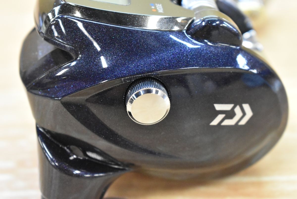 ヤリイカ スルメイカ