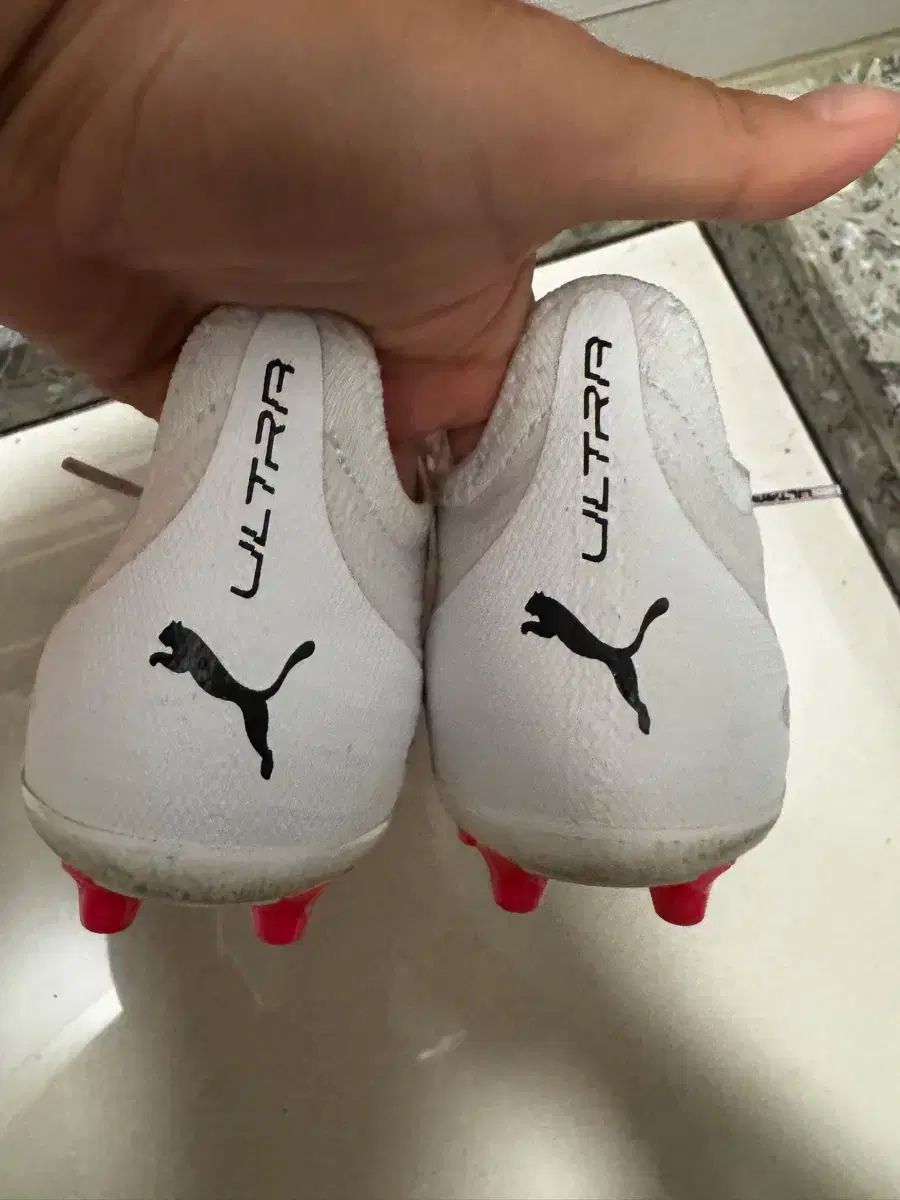 全品送料無料！ プーマ ウルトラ MG 245