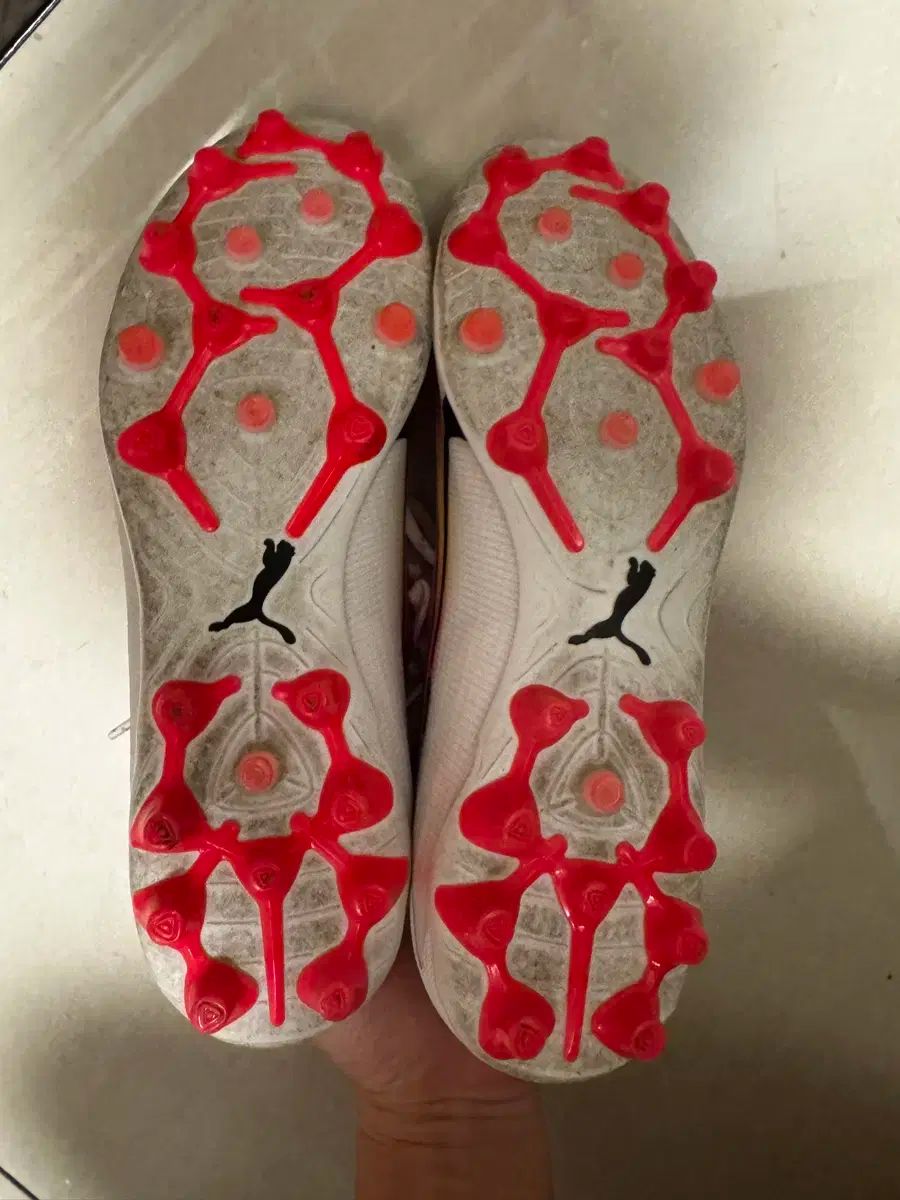 プーマ ウルトラ