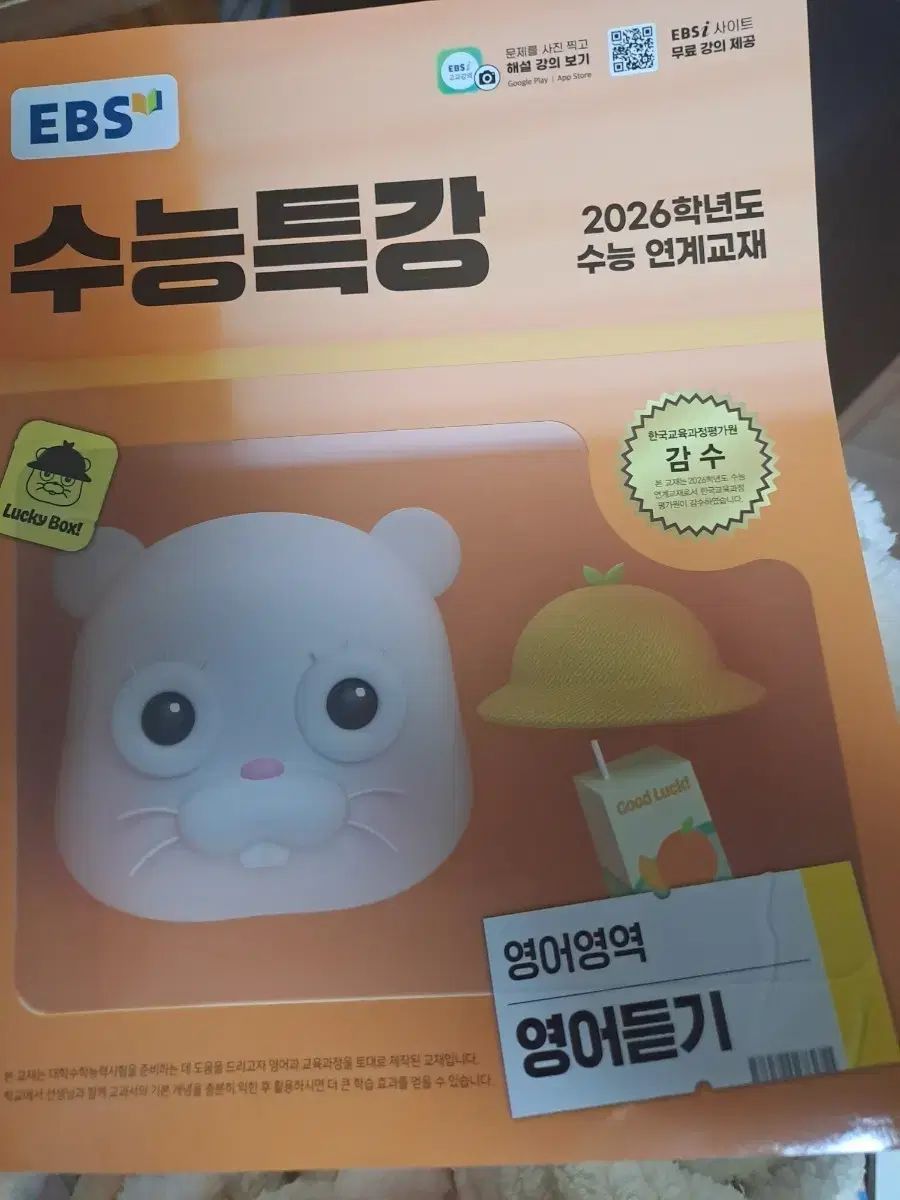 関正生世界一わかりやすい英語シリーズDVD 14作品セット 世界一