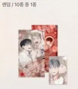 홍실クエストパック 10種セット