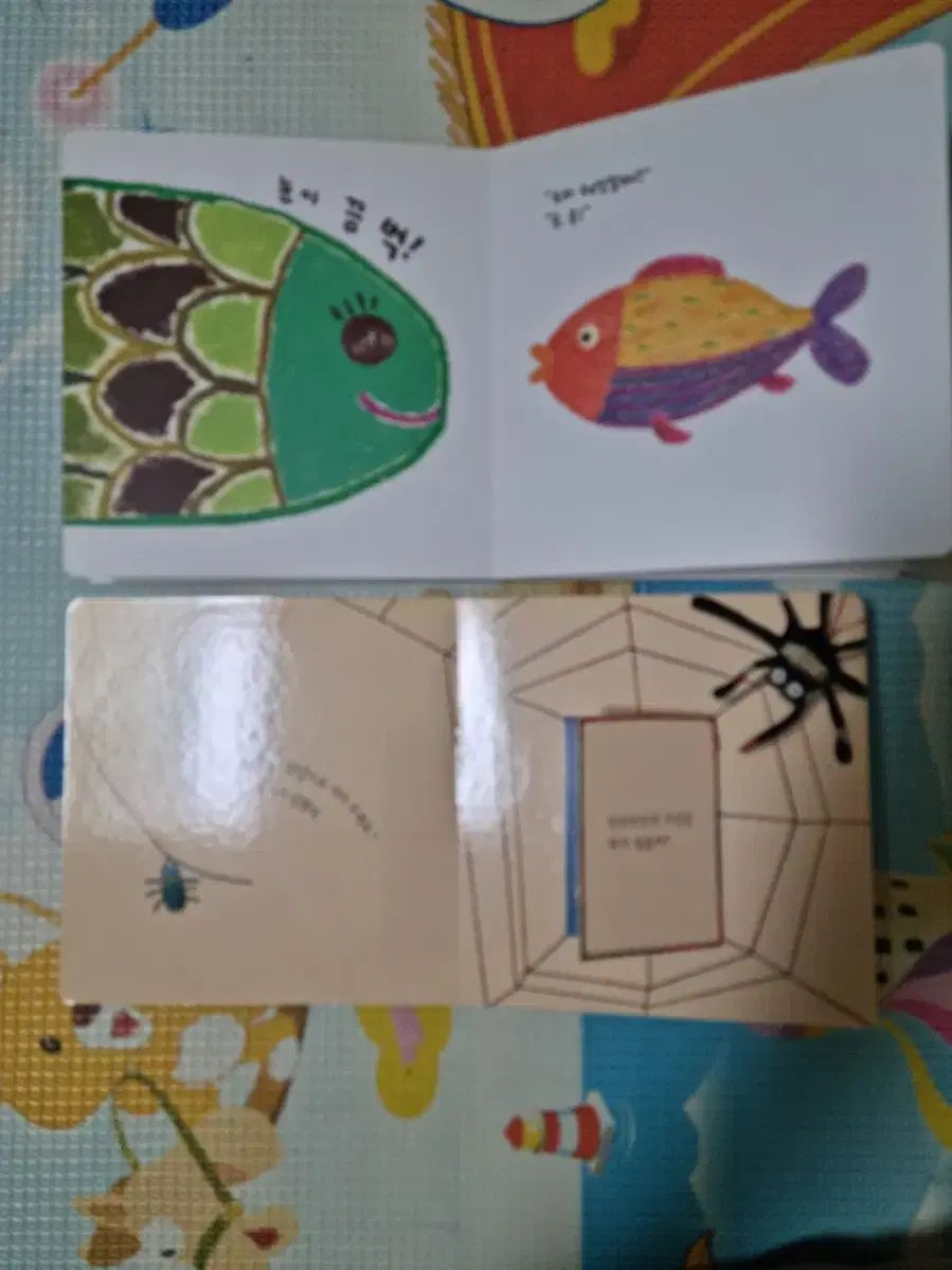  赤ちゃん概念絵本 ボードブック外 赤ちゃん本 その他 本