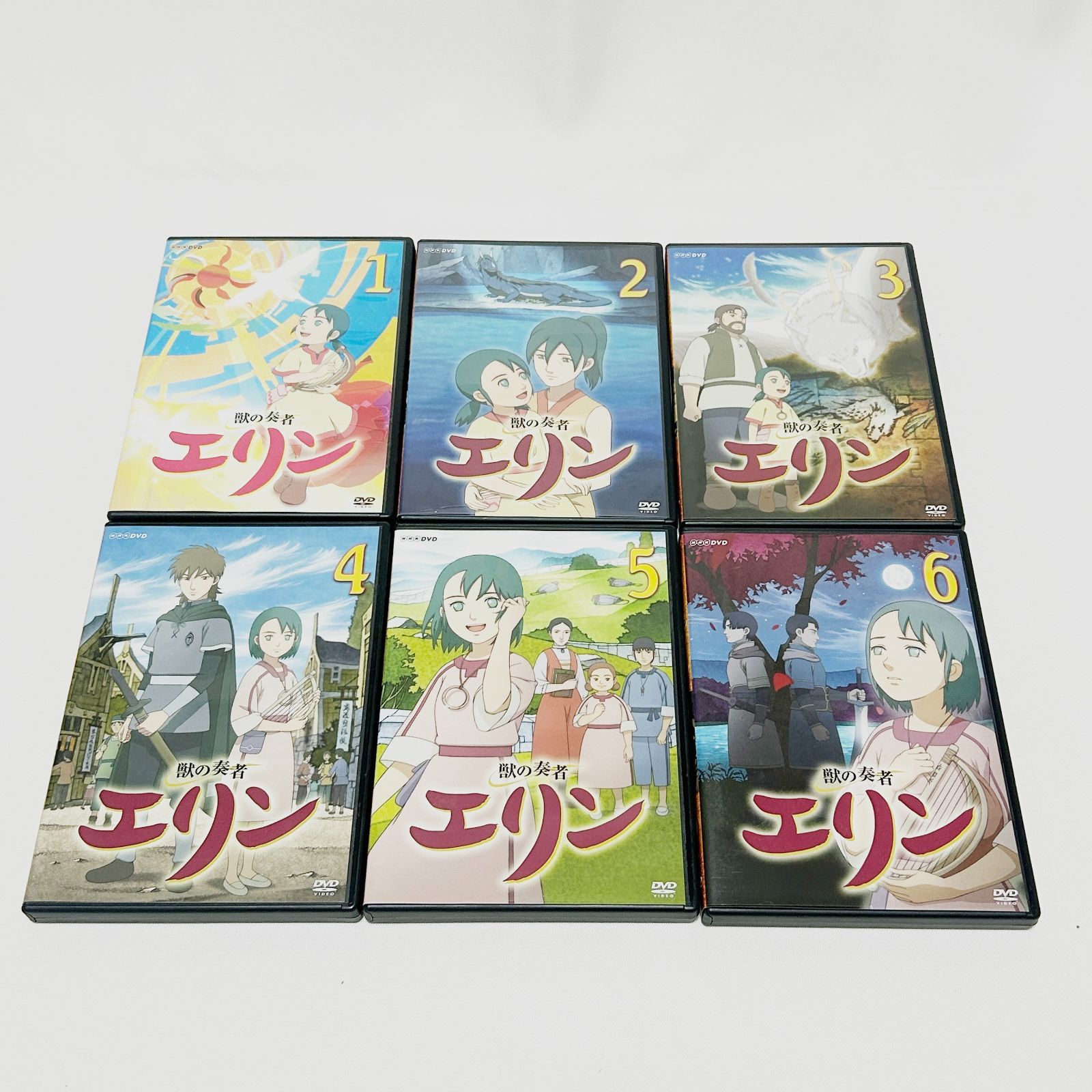 獣の奏者　エリン　全１２巻　DVD 初回限定☆獣の奏者エリン 獣の奏者(そうじゃ) エリン DVD全12