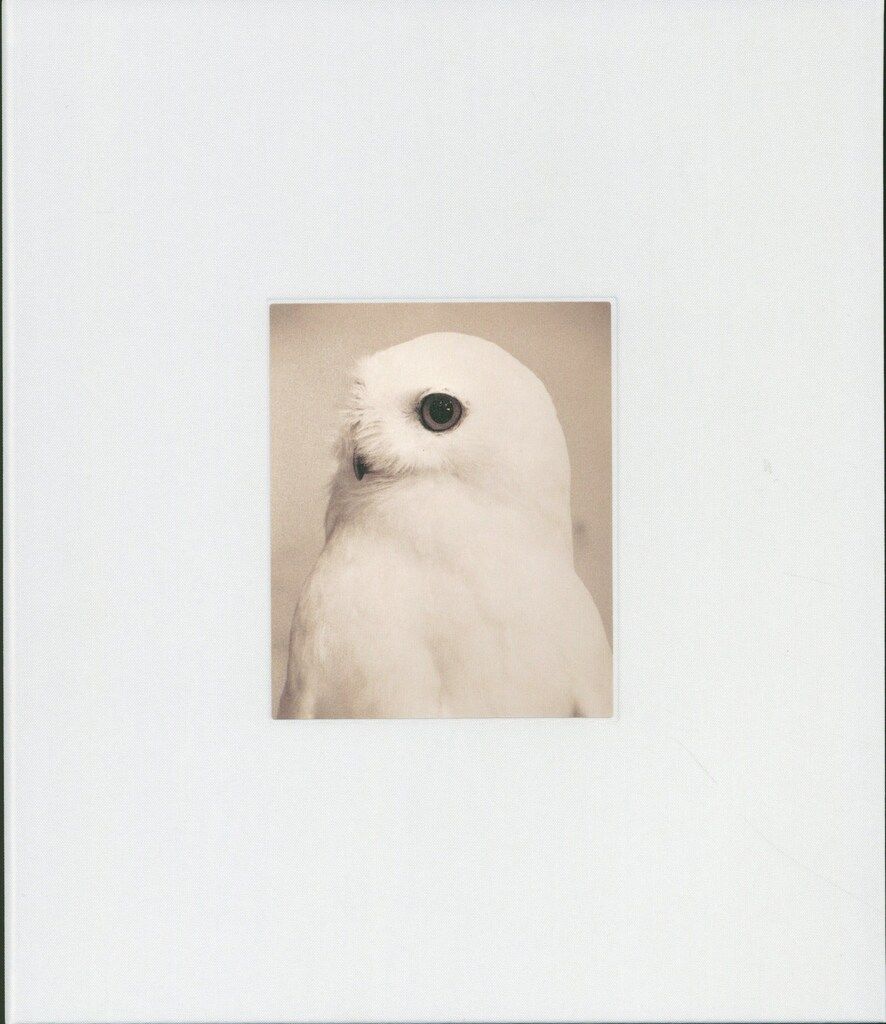 山本昌男 Yamamoto Masao