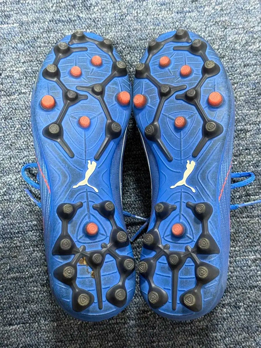 プーマ ウルトラ6