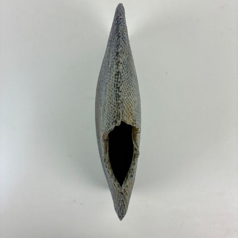 一の瀬焼 丸田窯元 塩釉布目扁壺 丸田巧 花器 花瓶 陶器 一の瀬焼 丸田窯元 塩釉布目扁壺 丸田巧 花器 花瓶 陶器 - メルカリ