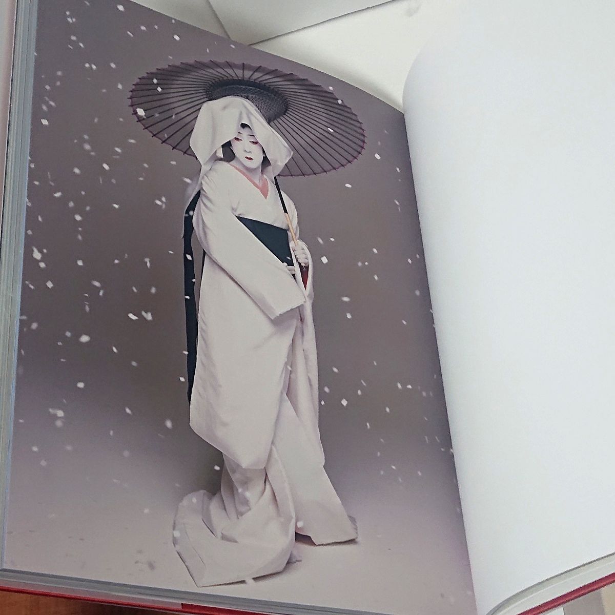 五代目 坂東玉三郎写真集 特別愛蔵版 限定376部 定価50万 全4巻 桐箱入◆ 五代目 坂東玉三郎写真集 特別愛蔵版 限定376部 定価50万 全4巻 桐箱入