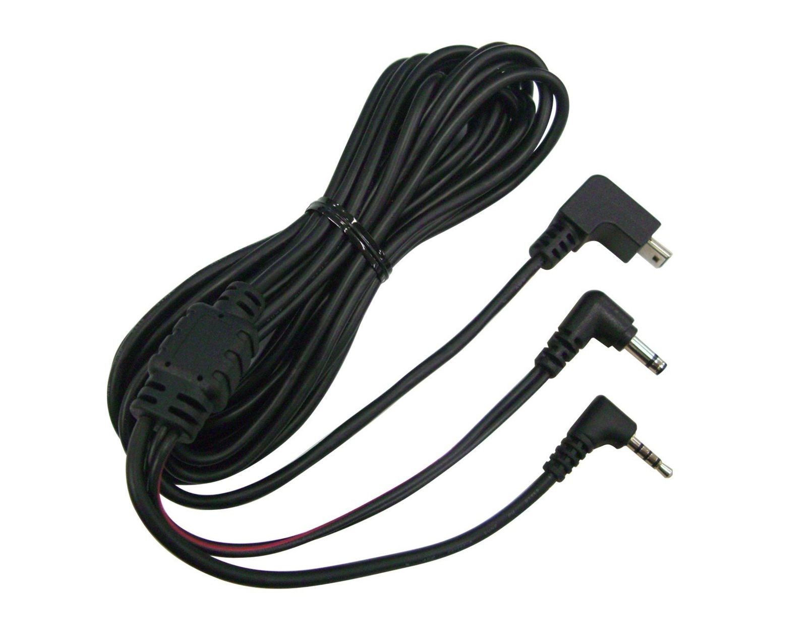 24時間セール中苗 レア ホヤ アルゲンティア プリンセス サクララン 美株