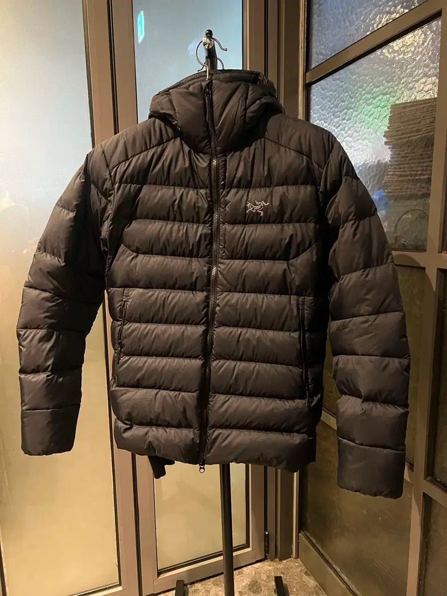 アークテリクス トーラム WHOODIE S