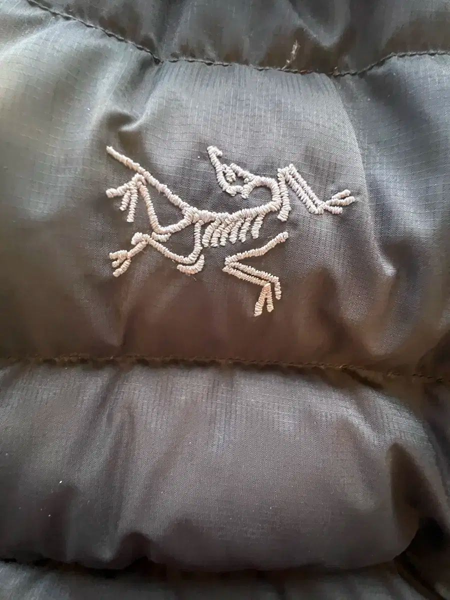 アークテリクス トーラム WHOODIE S