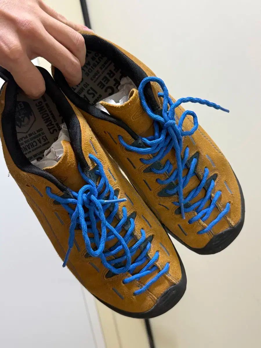 キーン ジャスパー