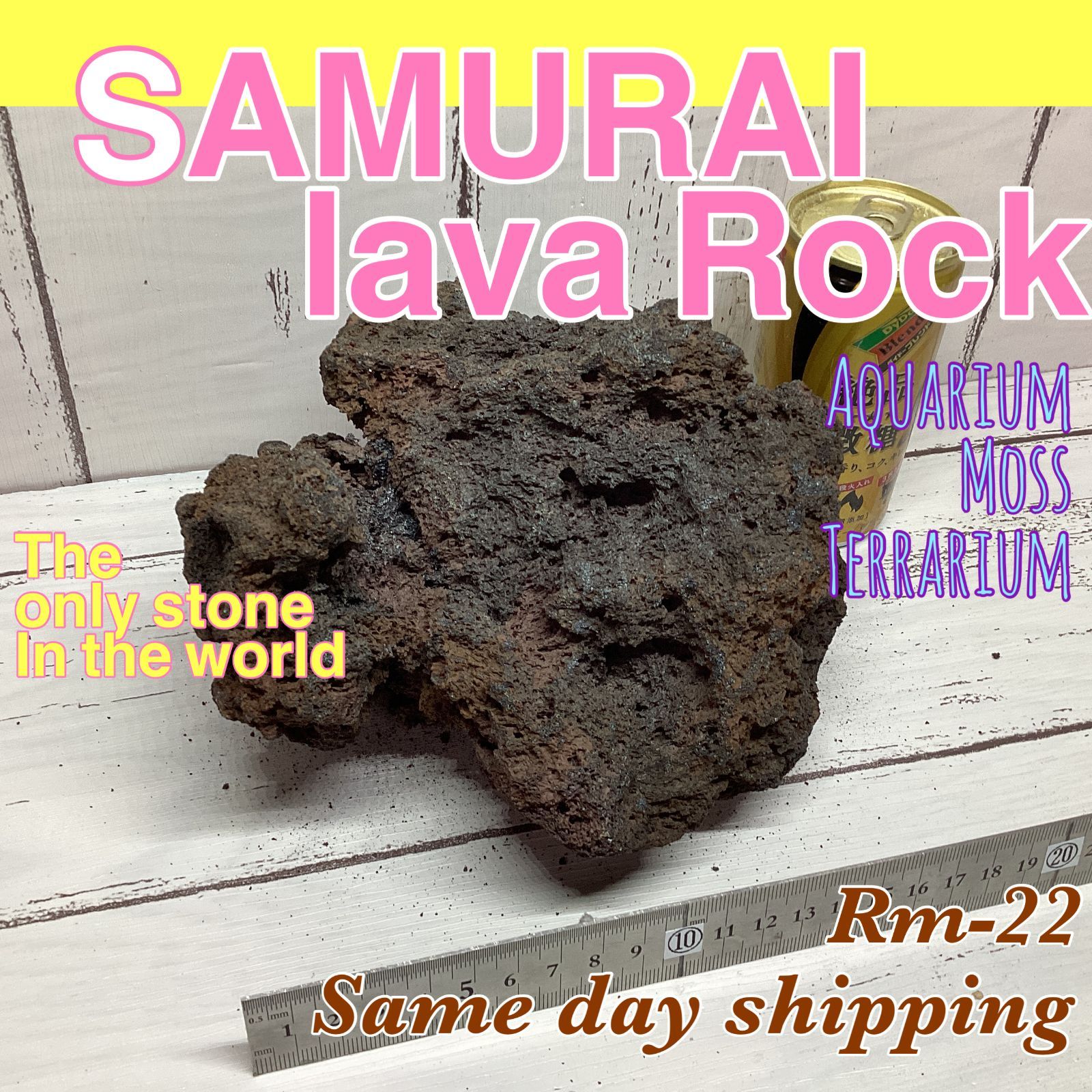 ウェッジウッド ミニクーパー プレート MINI COOPER 大皿 飾皿 レア