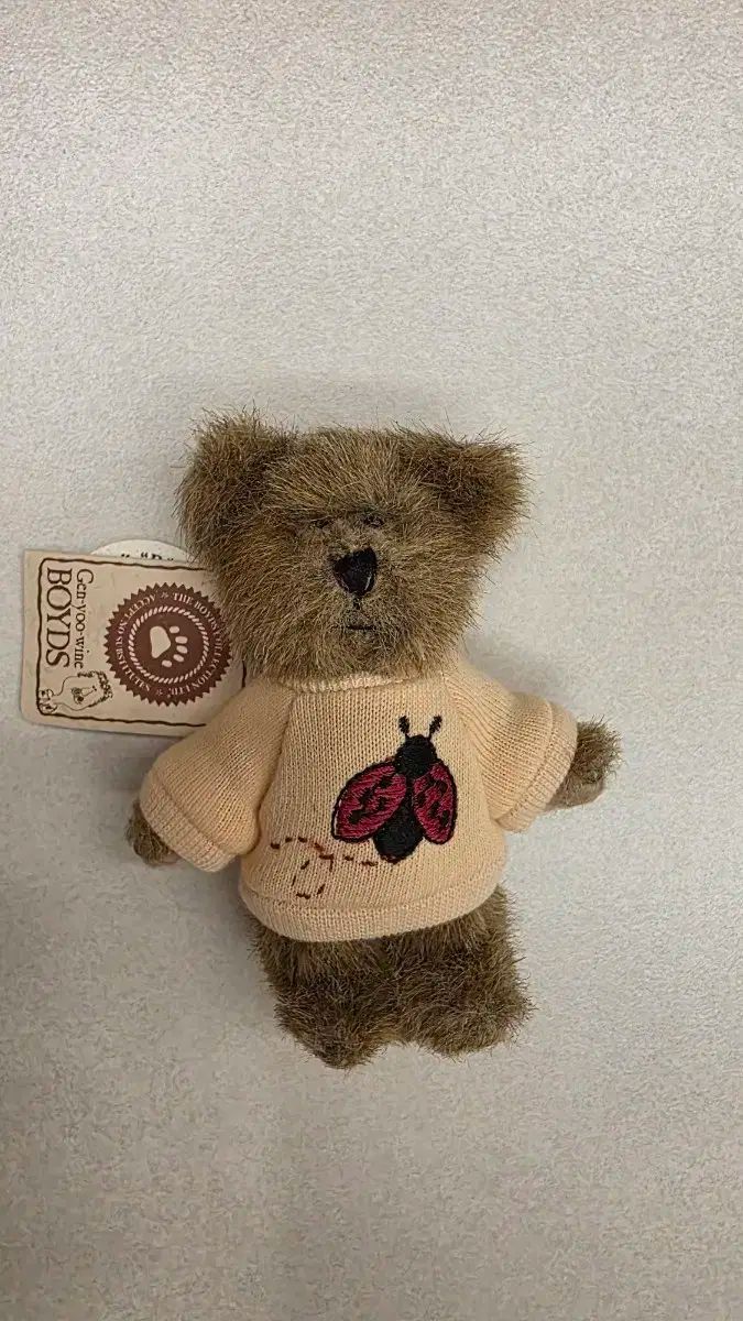 ボーイズベア 小さい てんとう虫 贈呈