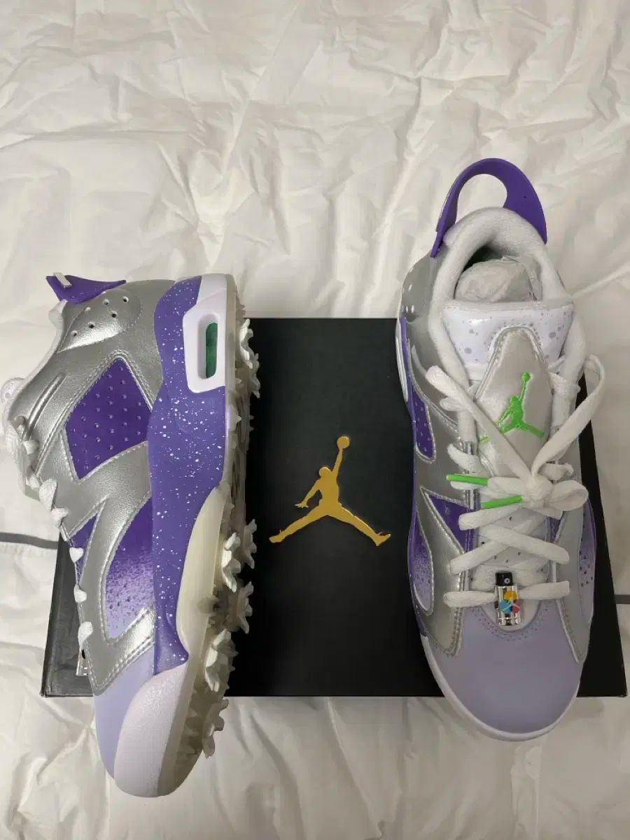 NIKE ナイキ ジョーダン 6 レトロ G NRG ゴルフシューズ 260