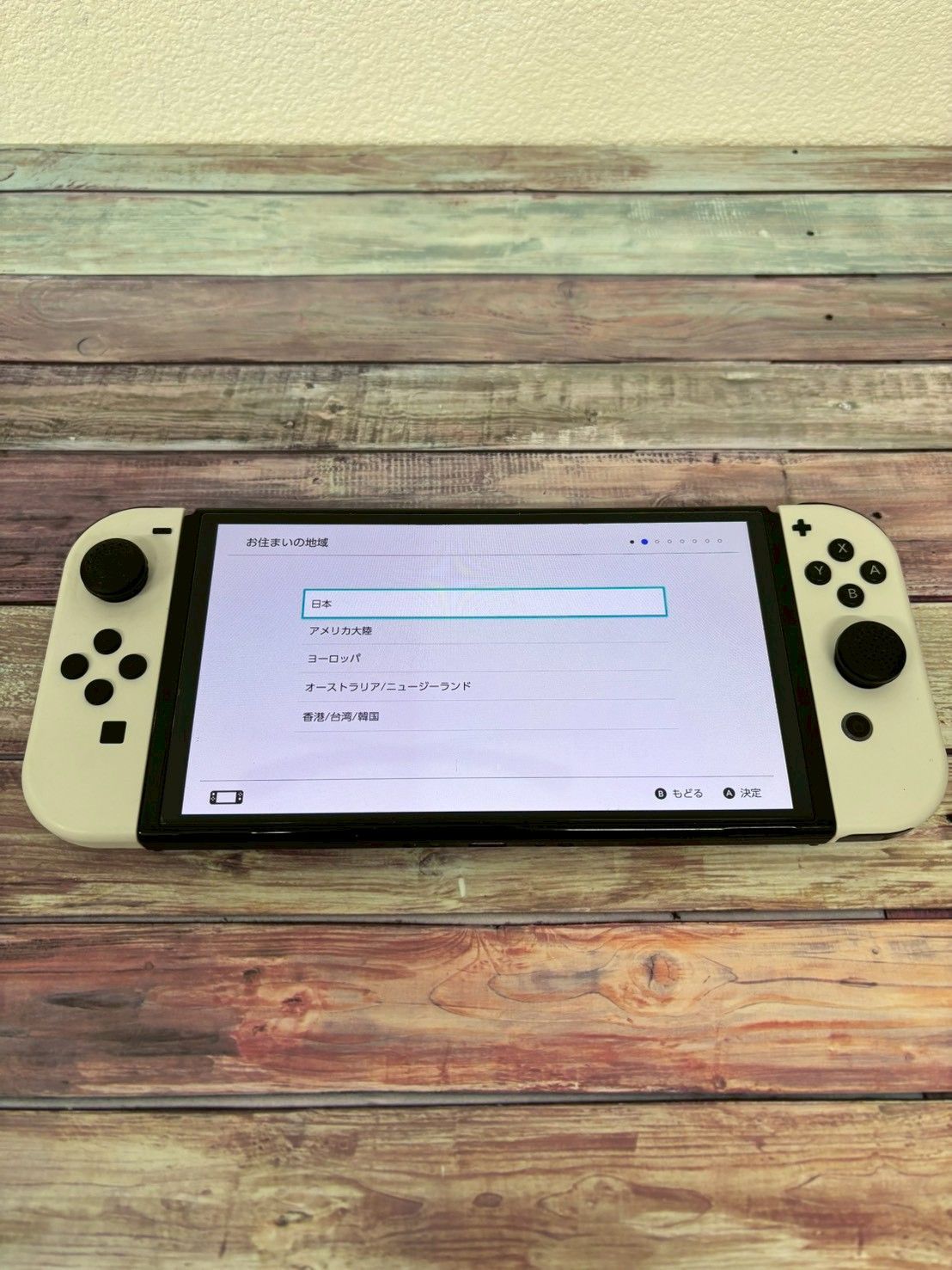 有機ELモデル ホワイト