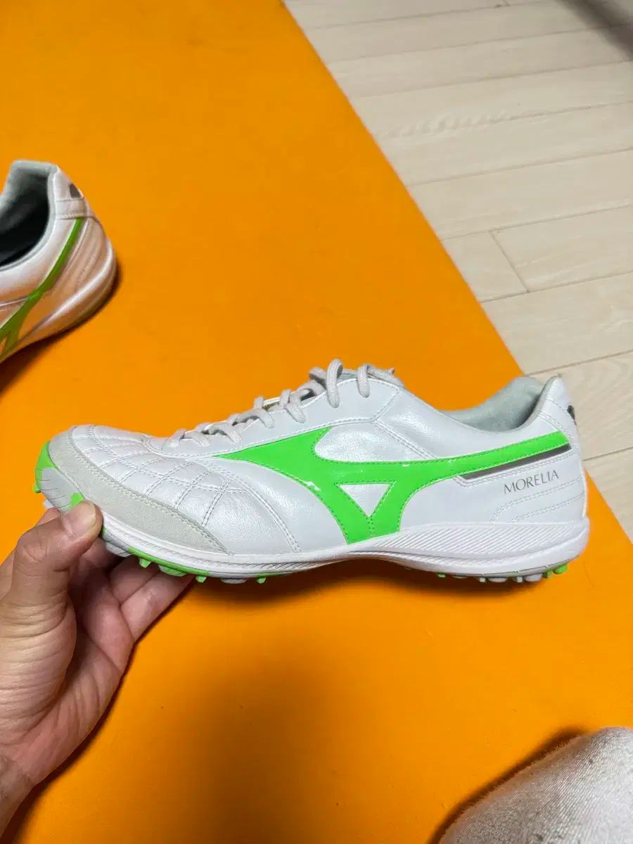 ミズノ モレリア サラ ジャパン 270