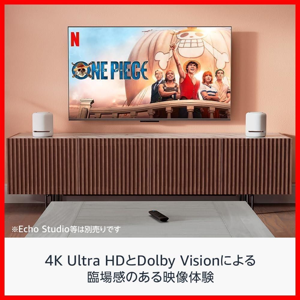 Plus 4K Stick 映画館のような4K体験 TV Fire ストリーミングメディアプレイヤー WWW_OPDRERGINERDOGAN_COM