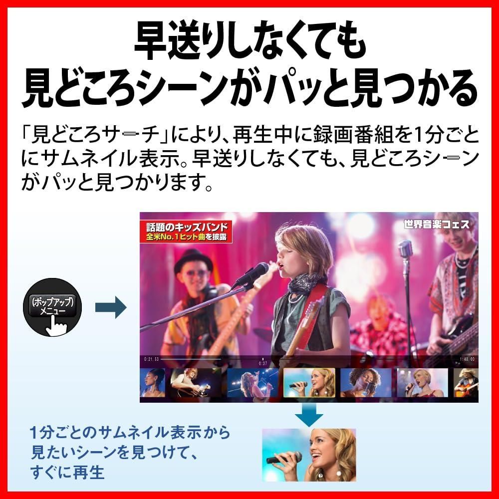 ブルーレイ ダブルチューナー AQUOS 1TB 地デジ録画 2B-C10GW1 ブルーレイディスクレコーダー 外付けHDD対応 シャープ モデル