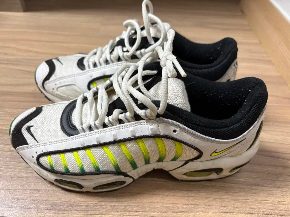ナイキ エアマックス テイルウィンド4 ボルト 250