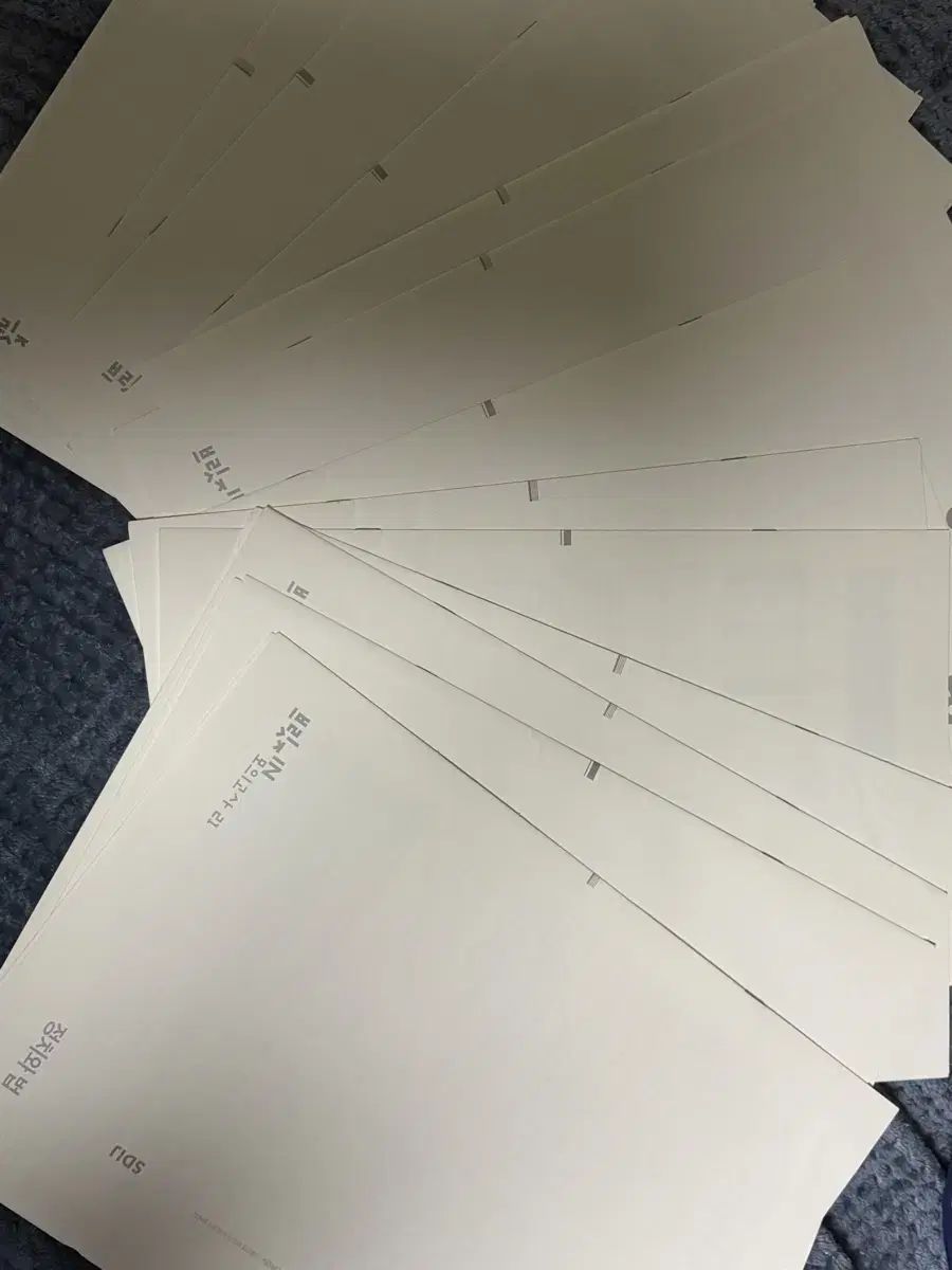 時代人材 ブリッジN 模擬試験 政治と法 まとめ