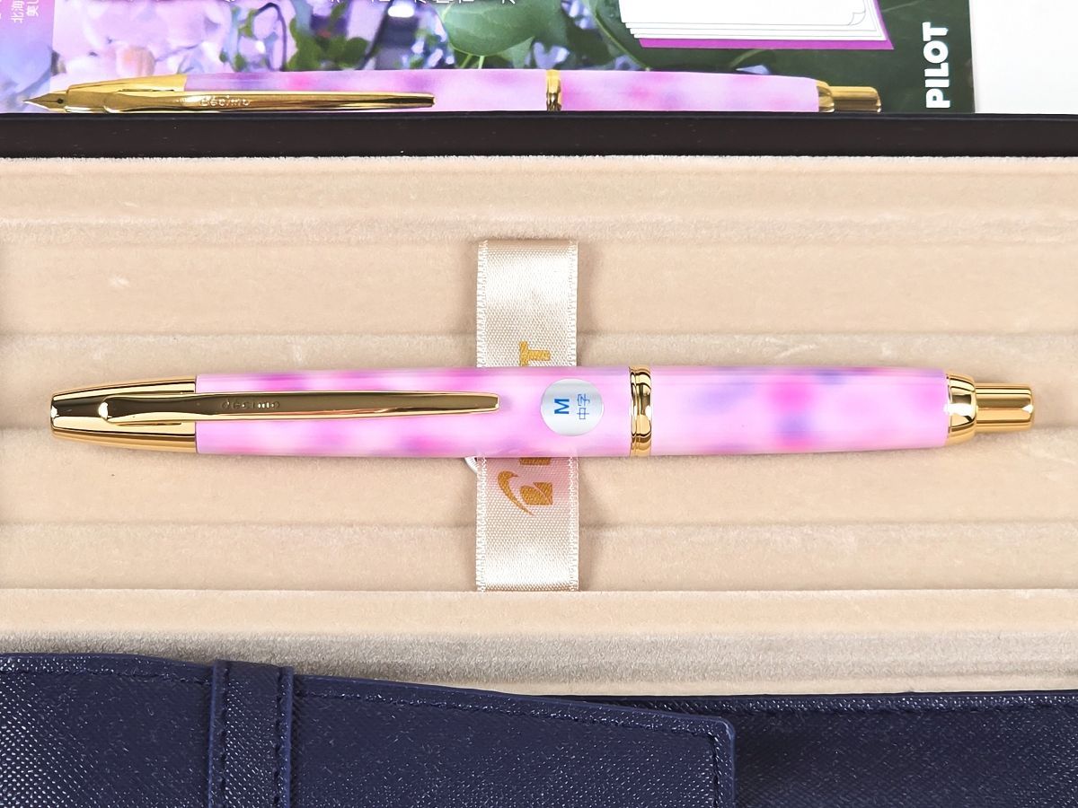PILOT 大丸藤井セントラルオリジナル ノック式万年筆 M 北の彩景 いろ 事典 シリーズ第27弾 ライラック
