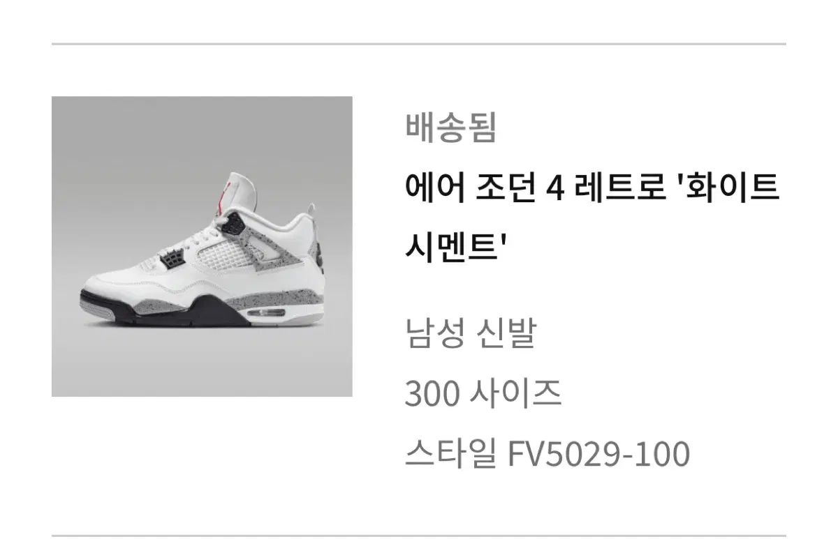 ナイキ エア ジョーダン4 白 セメント FV5029-100 300