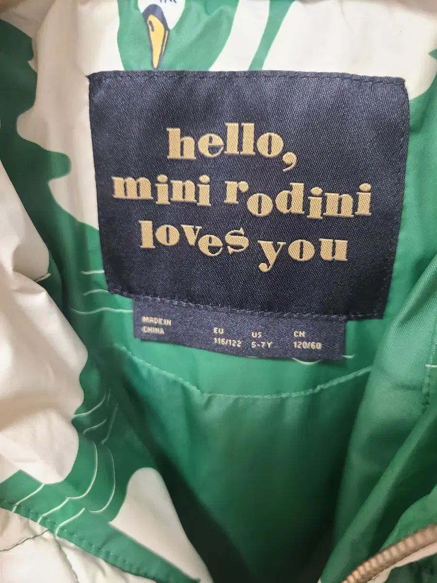 ミニロディーニ ダウン 116 122