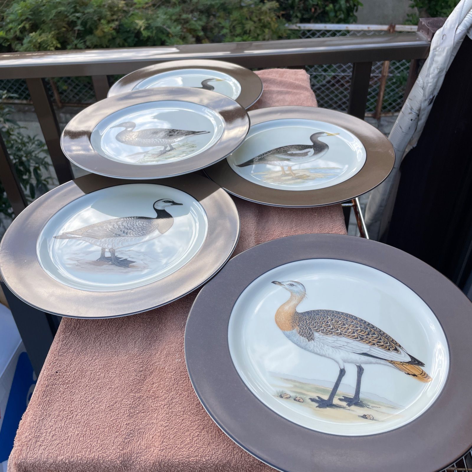 The Haldon Group Omomixx boothbay 中皿26cm