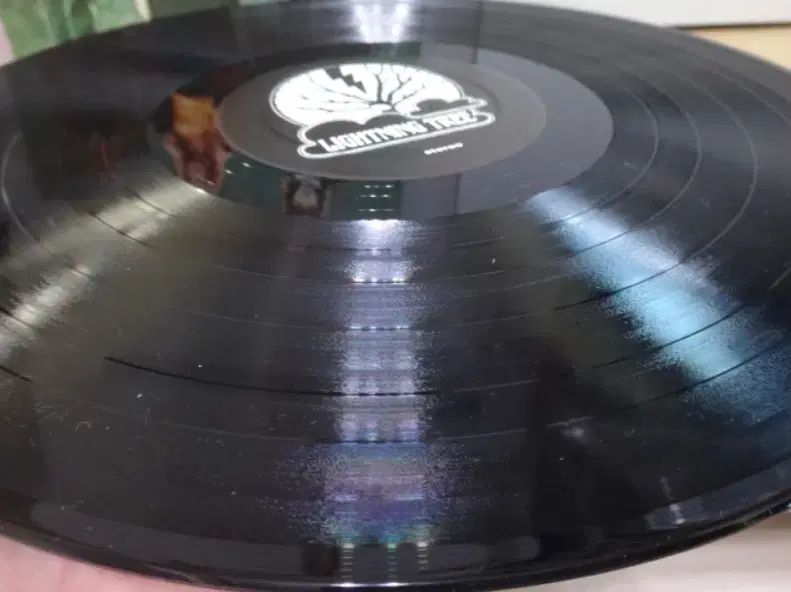 収入 LP Jade Fly On Strangewings シングルクラス 含め その他 楽器 機材 ホビー 楽器 アート