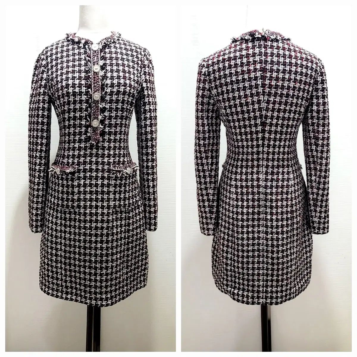 キャネスレイディ