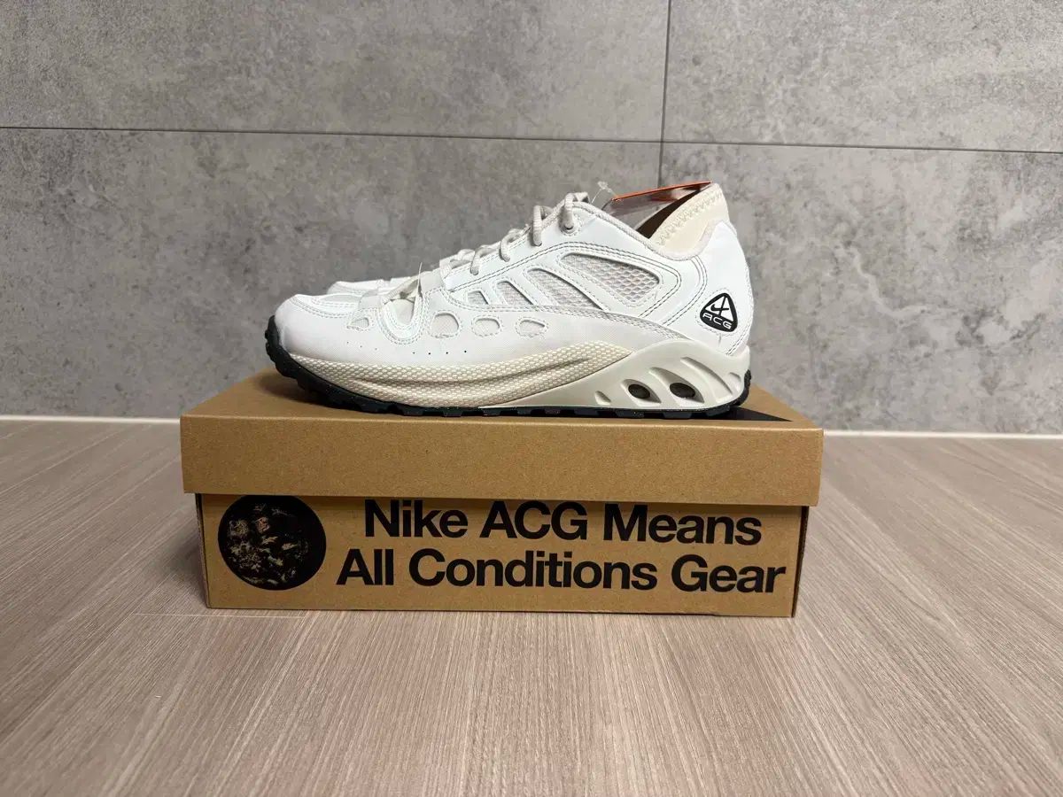 260 NIKE ACG エア エクスプロレード