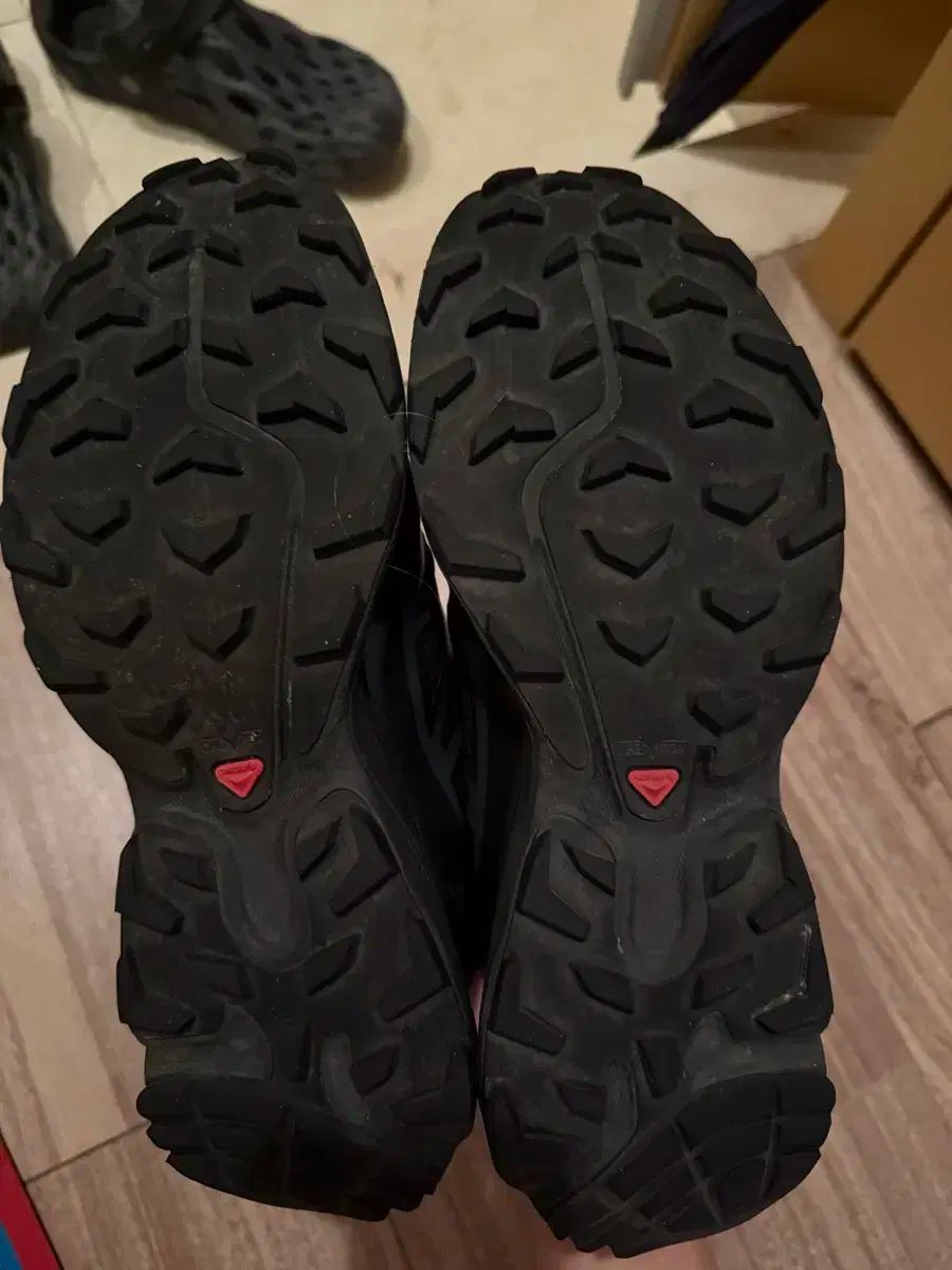 SALOMON サロモン