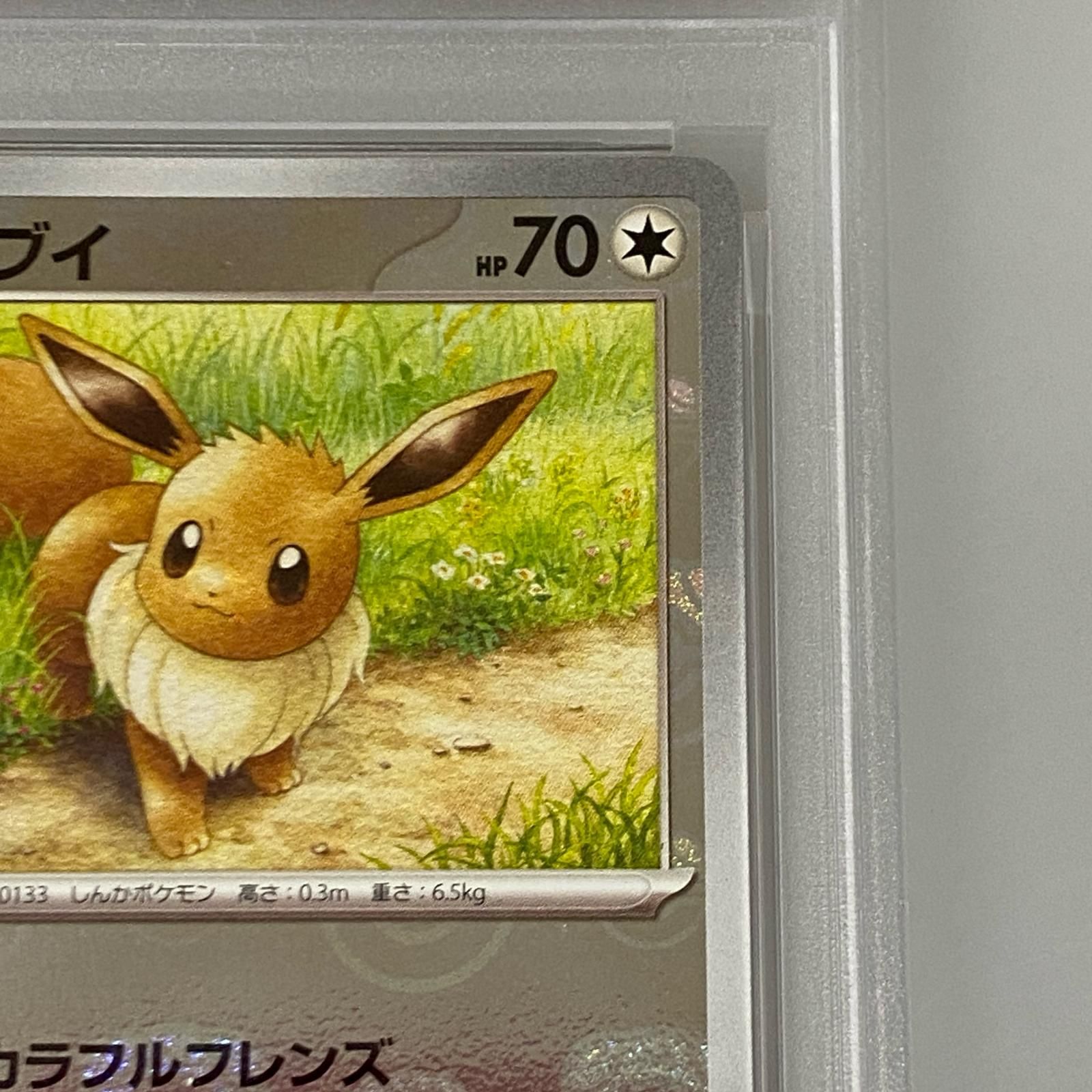 姫路東店】【中古】 ポケモンカード C)イーブイ ミラー(マスターボール