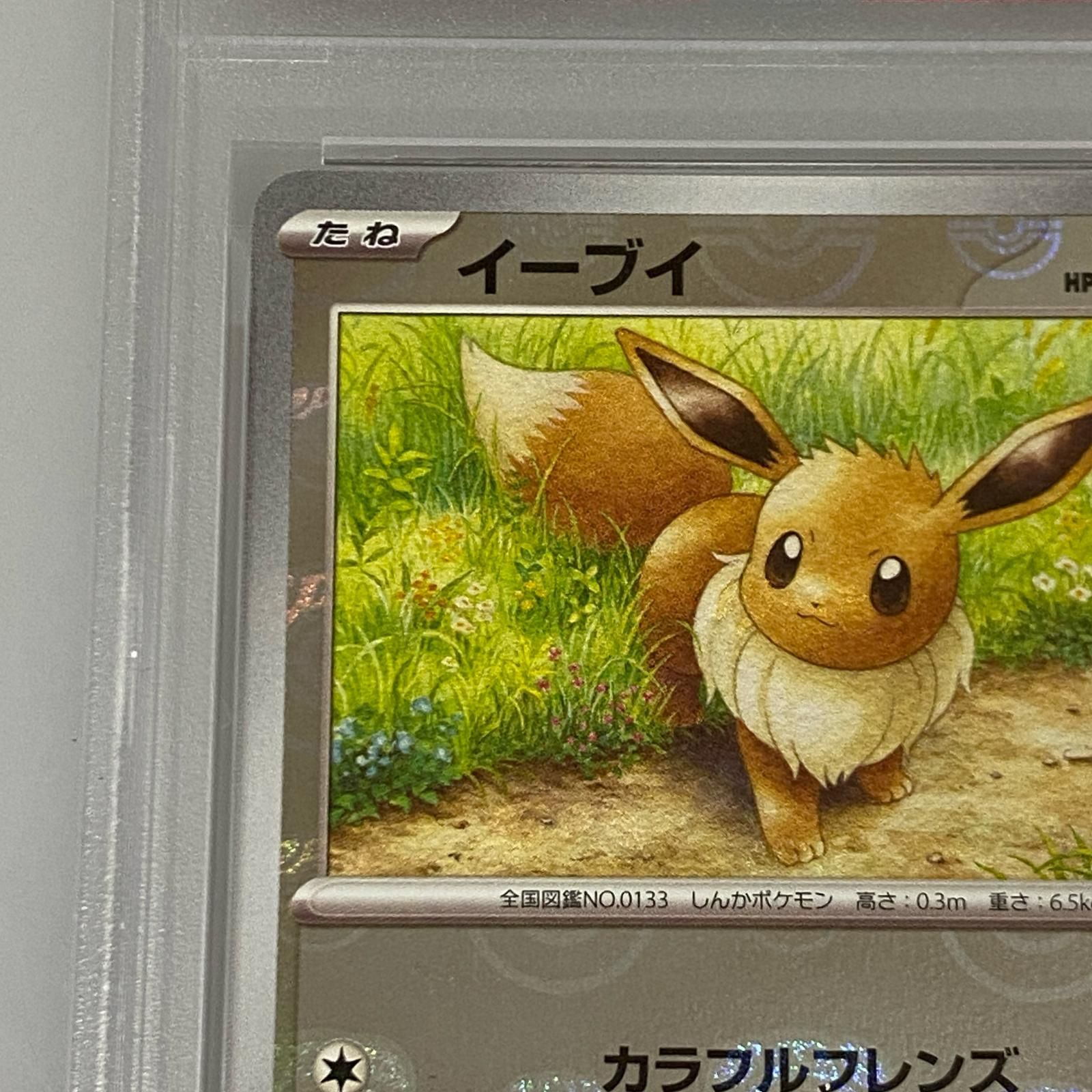 ポケモンカード　イーブイ　ミラー　PSA10　L2　マグネットローダー付き ポケモンカード イーブイ ミラー PSA10 L2 マグネットローダー付き