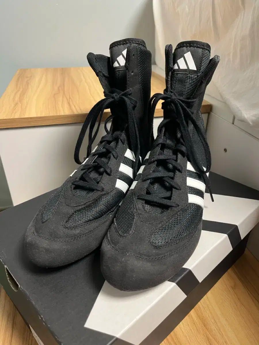 アディダス ボクサー ソホ SEOHO 2 260