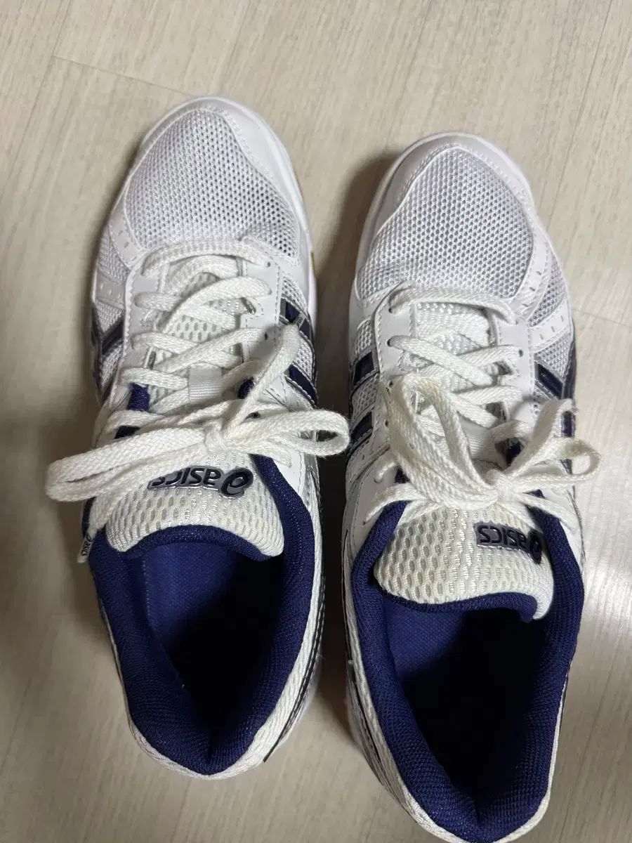 アシックス ローテ リーブレ バレーボールシューズ 270